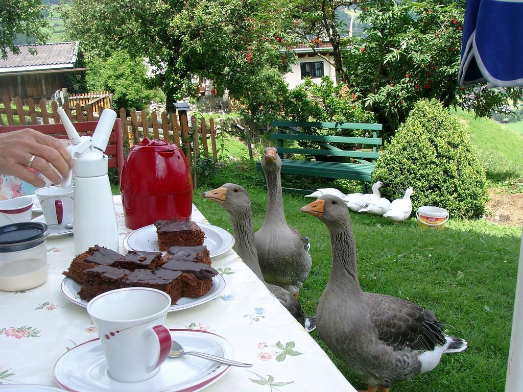 Neukirchen am Großvenediger Bauernhof Oberscheffauヴィラ エクステリア 写真